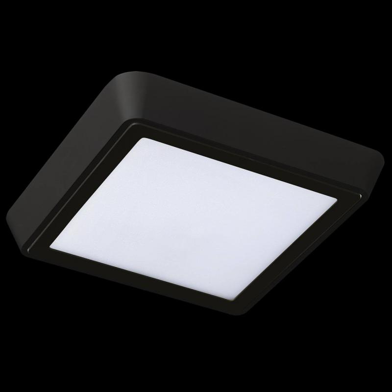 Уличный светильник Lightstar 216872